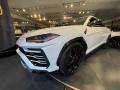 2020 Bianco Icarus Metallic Lamborghini Urus AWD  photo #13