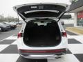 Quartz White - Santa Fe SEL AWD Photo No. 5