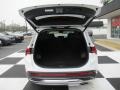 2021 Quartz White Hyundai Santa Fe SEL AWD  photo #5