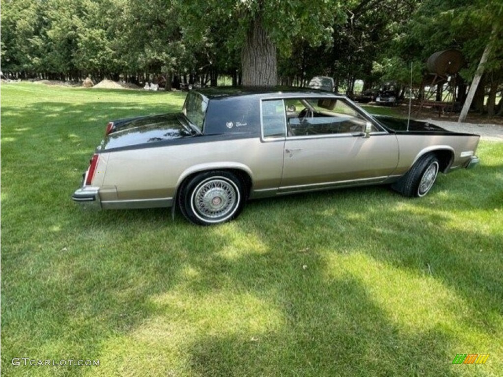 Sierra Gold Metallic 1981 Cadillac Eldorado Coupe Exterior Photo #143805677