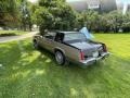 1981 Sierra Gold Metallic Cadillac Eldorado Coupe  photo #10