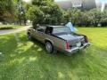 Sierra Gold Metallic 1981 Cadillac Eldorado Coupe Exterior