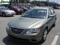 Natural Khaki Green - Sonata GLS Photo No. 14