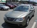 2009 Natural Khaki Green Hyundai Sonata GLS  photo #14