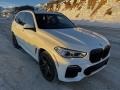 Alpine White - X5 xDrive40i Photo No. 5