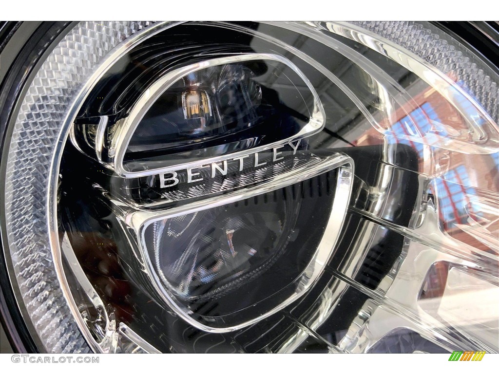 2020 Bentley Bentayga V8 Marks and Logos Photo #143812109