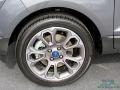 Smoke Metallic - EcoSport Titanium Photo No. 9