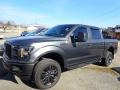 Magnetic 2019 Ford F150 STX SuperCrew 4x4