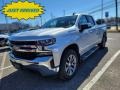 Silver Ice Metallic - Silverado 1500 LT Double Cab 4WD Photo No. 1