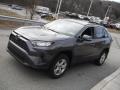 Magnetic Gray Metallic - RAV4 XLE AWD Photo No. 14