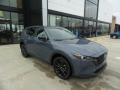 Polymetal Gray Metallic - CX-5 S Carbon Edition AWD Photo No. 1