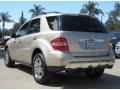 Desert Silver Metallic - ML 500 4Matic Photo No. 5