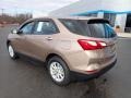 Sandy Ridge Metallic - Equinox LS Photo No. 4