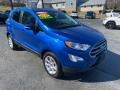 Lightning Blue Metallic - EcoSport SE Photo No. 4