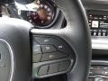 Granite Pearlcoat - Challenger SXT Blacktop Photo No. 18