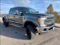 Stone Gray - F250 Super Duty King Ranch Crew Cab 4x4 Photo No. 26