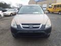2002 Mojave Mist Metallic Honda CR-V EX 4WD  photo #2