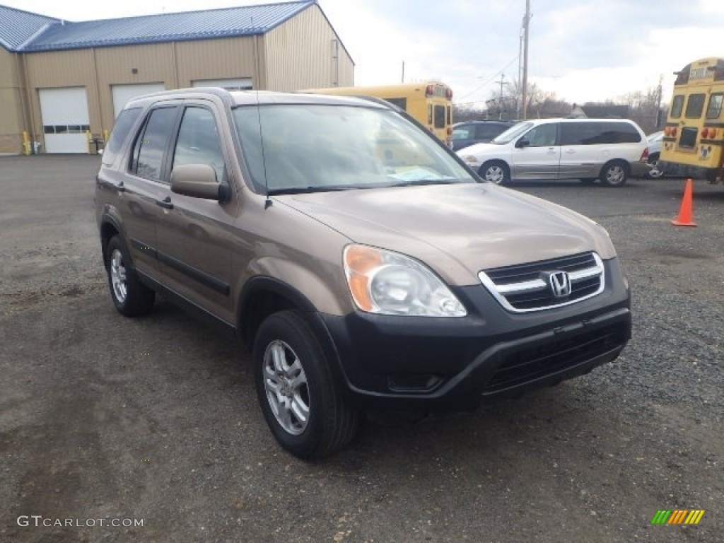 2002 CR-V EX 4WD - Mojave Mist Metallic / Saddle photo #3