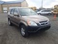 2002 Mojave Mist Metallic Honda CR-V EX 4WD  photo #3