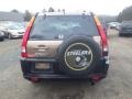 2002 Mojave Mist Metallic Honda CR-V EX 4WD  photo #5