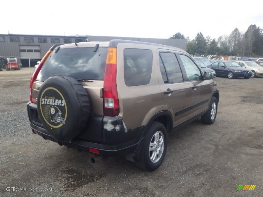 2002 CR-V EX 4WD - Mojave Mist Metallic / Saddle photo #6