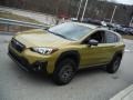 Plasma Yellow Pearl - Crosstrek Sport Photo No. 14