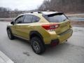 Plasma Yellow Pearl - Crosstrek Sport Photo No. 17