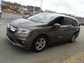 2019 Pacific Pewter Metallic Honda Odyssey EX-L  photo #6