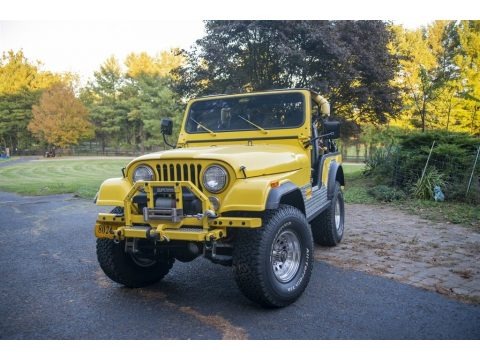 1977 Jeep CJ5  Data, Info and Specs