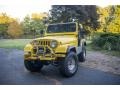 John Deer Yellow 1977 Jeep CJ5 Standard CJ5 Model Exterior