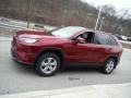 Ruby Flare Pearl - RAV4 XLE AWD Photo No. 13