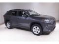Magnetic Gray Metallic - RAV4 XLE Photo No. 1