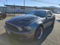Sterling Gray Metallic - Mustang V6 Premium Coupe Photo No. 3