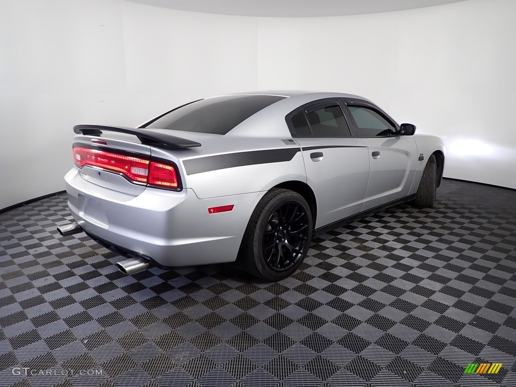 2014 Charger Police - Bright Silver Metallic / Black photo #9