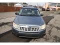 Sage Green Metallic - Forester 2.5 X Premium Photo No. 2