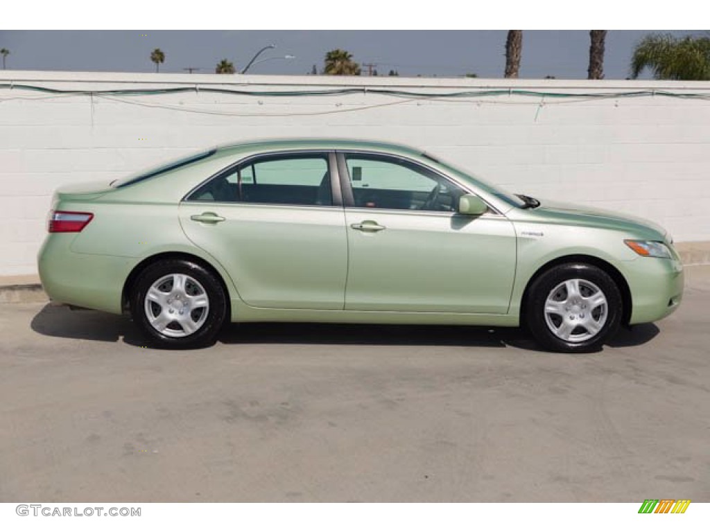 2009 Camry Hybrid - Aloe Green Metallic / Ash photo #14