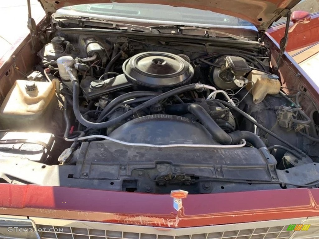 1981 Chevrolet El Camino Royal Knight 3.8 Liter OHV 12-Valve V6 Engine Photo #143898783