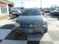 Platinum Gray Metallic - Tiguan SE Photo No. 2