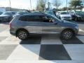 Platinum Gray Metallic - Tiguan SE Photo No. 3