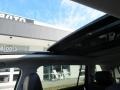 Platinum Gray Metallic - Tiguan SE Photo No. 11
