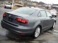 Platinum Grey Metallic - Jetta SEL Photo No. 11
