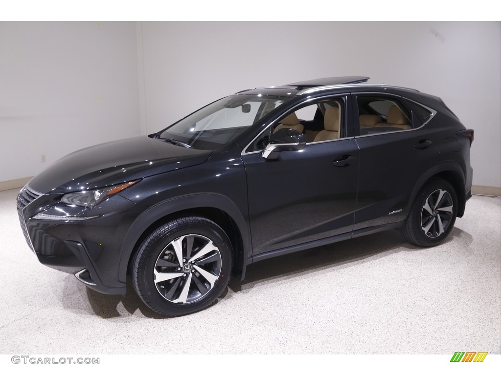 2021 Lexus NX 300h Luxury AWD Exterior Photos