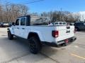 Bright White - Gladiator Willys 4x4 Photo No. 10