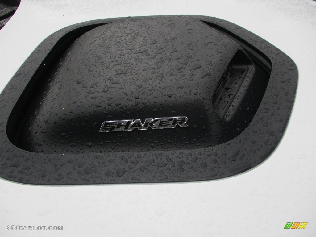 2018 Dodge Challenger R/T Shaker Parts Photos