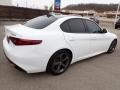 Alfa White - Giulia  Photo No. 6