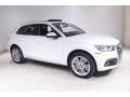 Ibis White 2018 Audi Q5 2.0 TFSI Prestige quattro Exterior