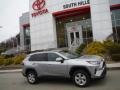 Silver Sky Metallic - RAV4 XLE AWD Photo No. 2