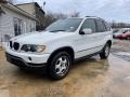 2001 Alpine White BMW X5 3.0i  photo #4