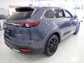 Polymetal Gray Metallic - CX-9 Carbon Edition AWD Photo No. 2