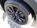 Polymetal Gray Metallic - CX-9 Carbon Edition AWD Photo No. 10